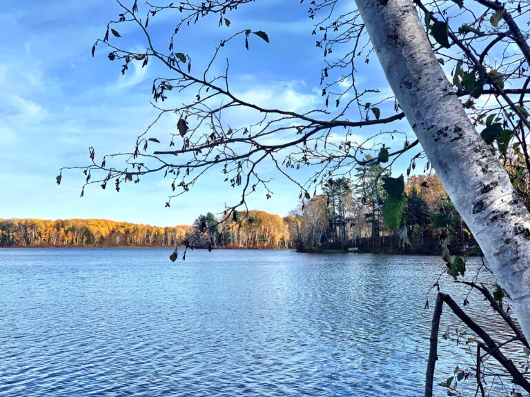 25+ Fun Things To Do Near Hand Lake, MN